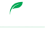 logo cady final white